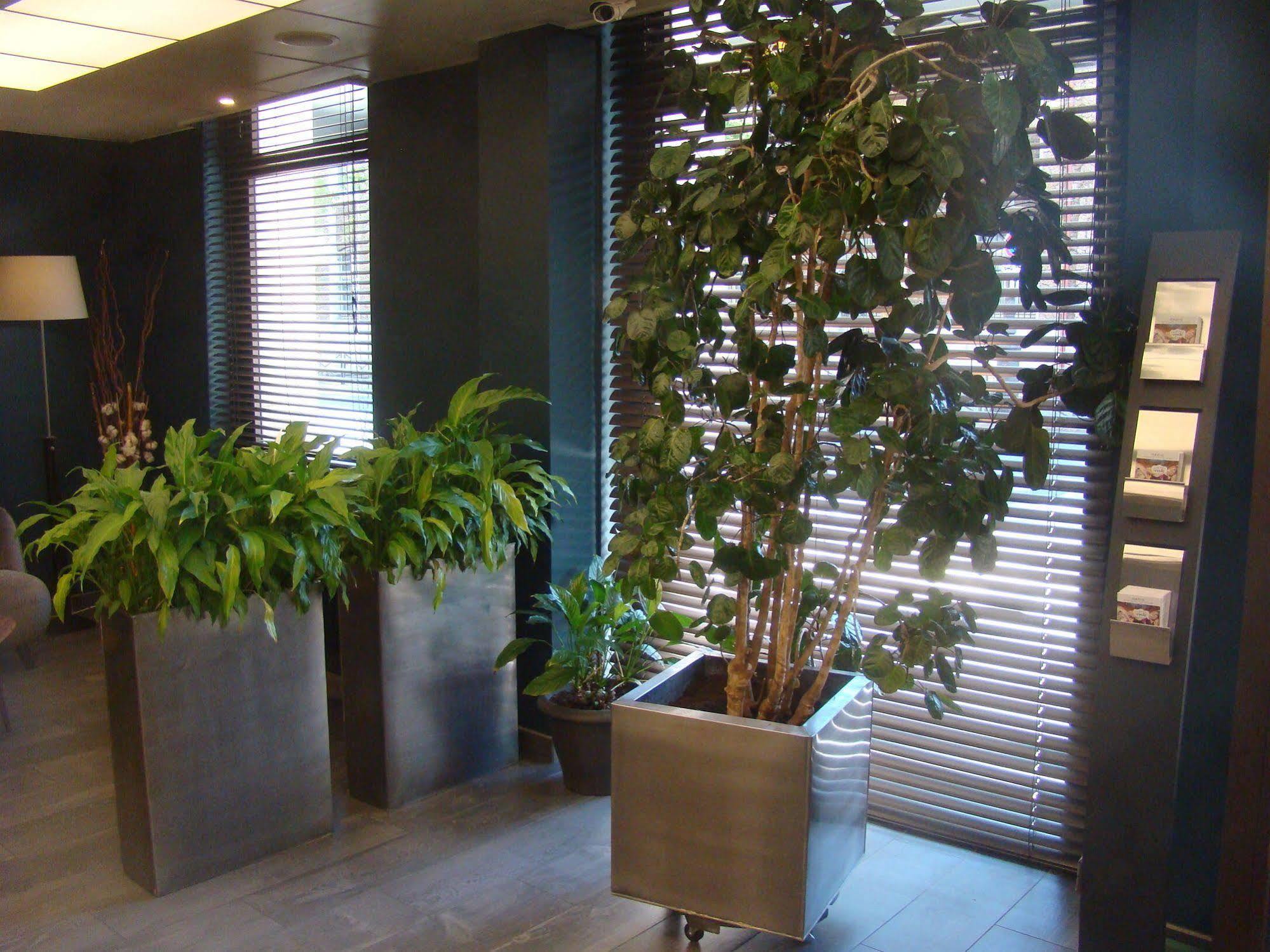 Montparnasse Alesia 3* Parijs
